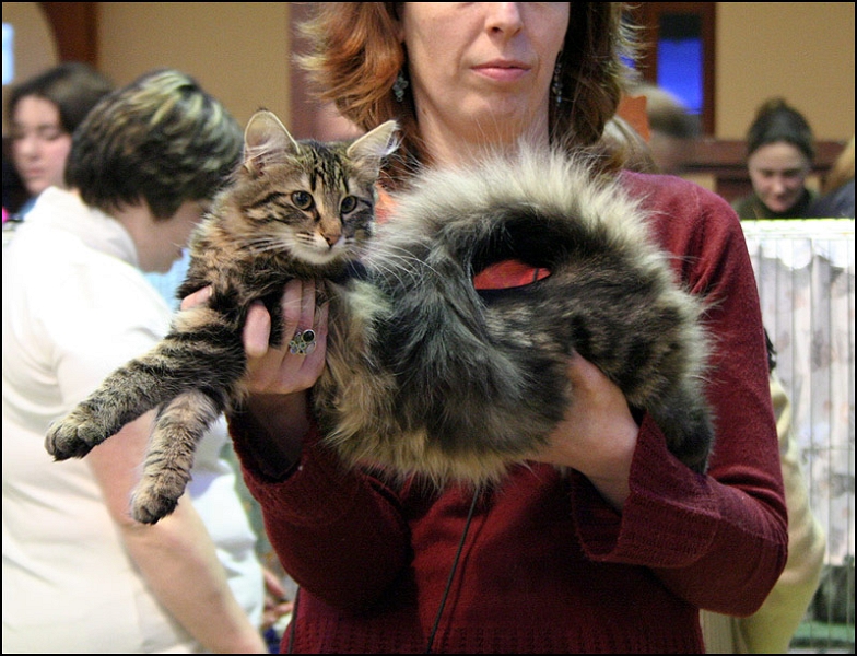 Inconnu 3.jpg - Inconnu